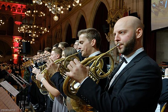 © SciBall/Ferrigato