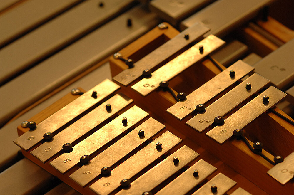 Singuler Instrument Instrument Rental | Music and Arts University of the City of Vienna