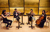 Amia Quartett © Wolfgang Simlinger
