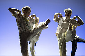 ARTICULATION © Laurent Ziegler