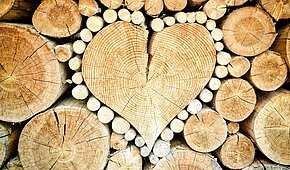 ABGESAGT: Der Holzdieb