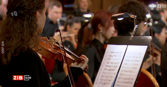 Screenshot ORF-Bericht 