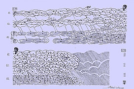 Interpretive research 