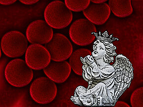 Elegies. Ein Musical