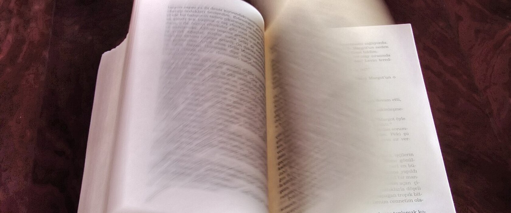 Buch, Foto CC3-0  Nevit Dilmen/Wikimedia